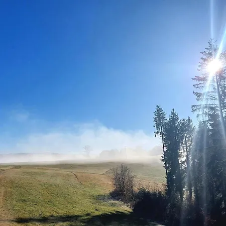Gaestehaus Walter Lejlighed Hardt (Baden-Wurttemberg)
